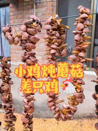蘑菇大队有新成员加入#三农 #小鸡炖蘑菇 #东北特产#捡蘑菇