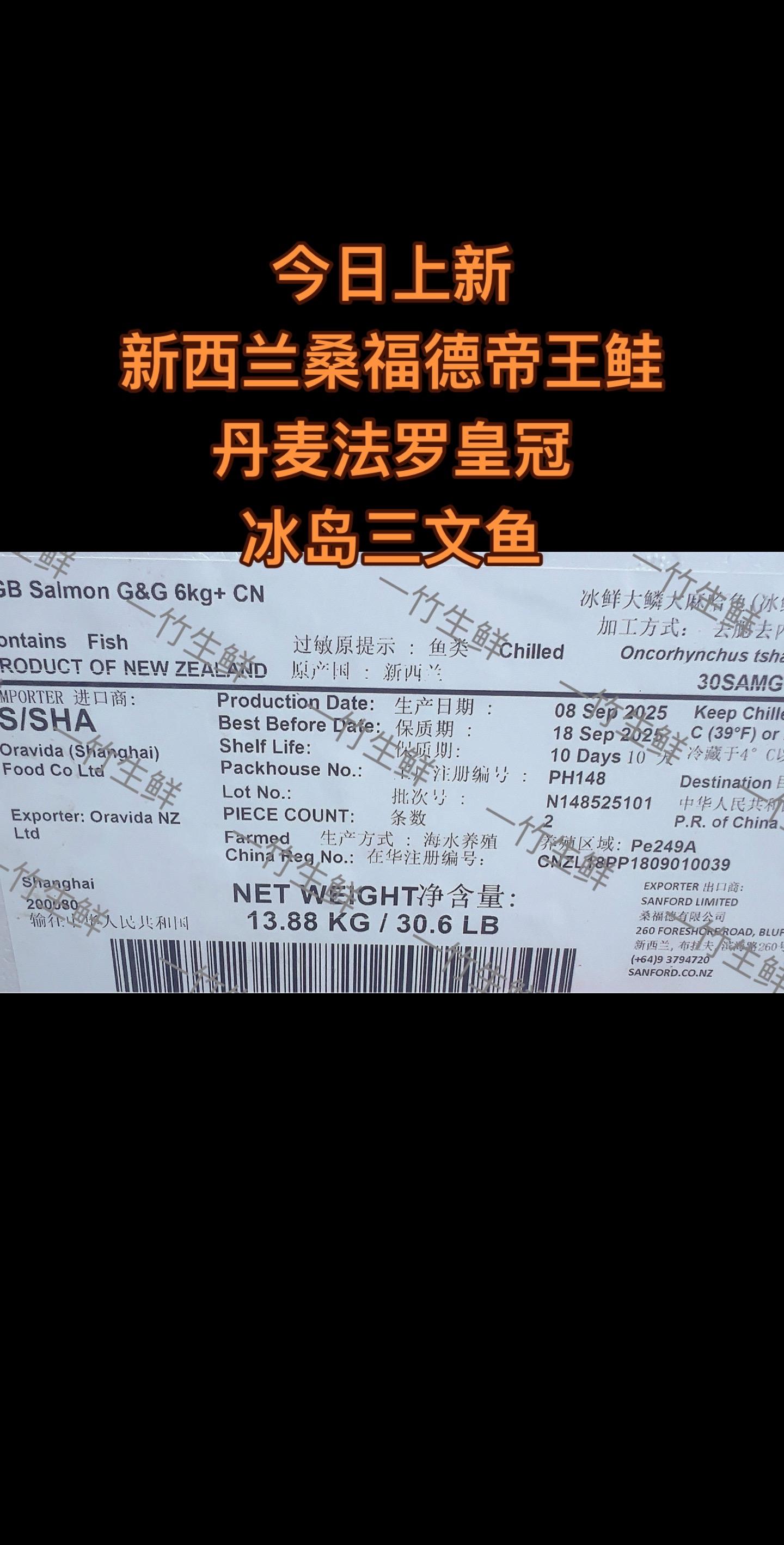 国内最新日期最大规格新西兰桑福德帝王鲑。#一竹生鲜 #一竹三文鱼 #新西兰桑福德帝王鲑 #抖音助手 #三文鱼推荐