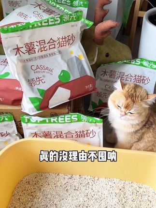 比那些杂牌好用太多,趁活动可以囤一点!#萌宠好物 #领先木薯混合猫砂