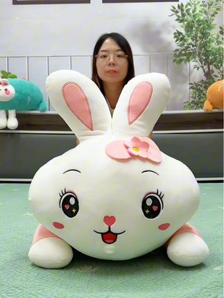 遇见你,是我一生的幸运!#给女朋友送礼物 #安抚抱枕 #玩偶 #生日礼物 #居家好物