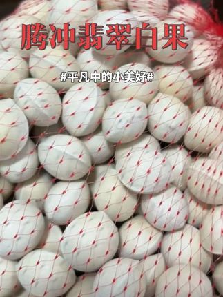 #白果树 #创作者中心 #创作灵感 #白果 #银杏果熟了