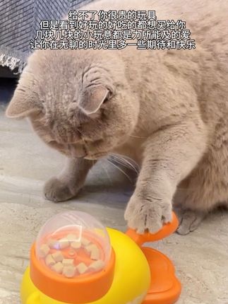 看到好玩的都想买来给你试一试 #我的养宠日常 #猫玩具 #宠物玩具 #养宠日常 #宠物vlog