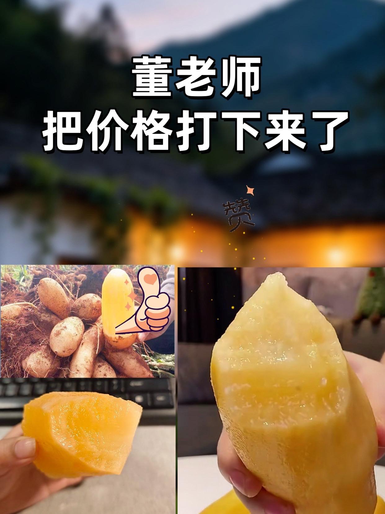 董老师推荐云南天山雪莲果新鲜水果。#董老师推荐#董老师#超便宜超划算 #天山雪莲果