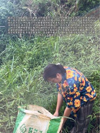 者 今天这个 要多割一张鱼塘的草,因为叔伯卖把他的鱼卖给我们了鱼的话,暂且先放在他的鱼塘那里 所以今天总共割两张鱼塘的草#我的农村生活