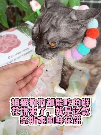 yee奈斯又出新品了,就是这个鲜花饼‼️猫猫狗狗都爱吃‼️#养猫新手 #yeepet and #狗狗洁齿冻干 #猫咪冻干零食推荐 #狗狗冻干零食推荐