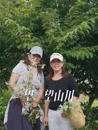 #花的世界真的很#记录美好生活每一天 #花的世界真的很