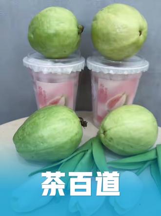 春日必喝的漂亮水~茶百道这个芭乐系列也太顶了!#茶百道新品 #茶百道芭乐#茶百道芭乐冰奶 #茶百道芭乐奶冻#万物皆可粉嘟嘟