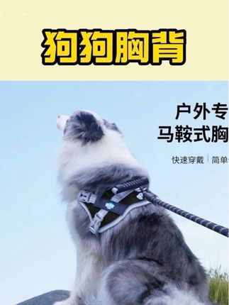 给大家推荐一款超实用的狗狗牵引绳!它配的胸背卡扣很牢固不会挣脱,而且胸背还能根据狗狗体型调节大小。尼龙材质非常结实耐用,牵引绳可以直接扣到胸背上,出门遛狗真的超方便~有了它就能安心带狗狗到处玩了,赶紧给你家宝贝也安排上吧!#狗狗胸背 #宠物胸背 #狗狗牵引绳 #宠物牵引绳 #萌宠好物