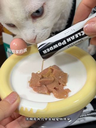 解决猫咪不爱刷牙的烦恼,可以给猫咪安排洁牙粉,混在粮里吃饭的功夫就把牙齿清洁了#猫咪牙齿问题#猫咪牙齿清洁#欧瑞乐 #宠物洁牙粉