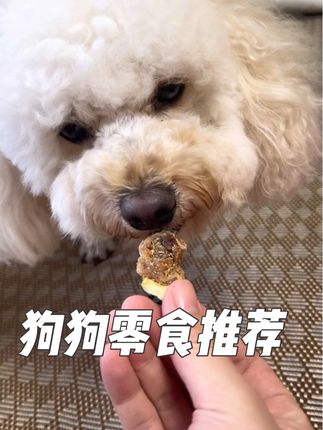 毛孩子零食不知道怎么选的!怕配料表不干净的!!闭眼入这个#本草汪牧 #宠物零食 #家有馋狗 #好吃到停不下来 #狗零食