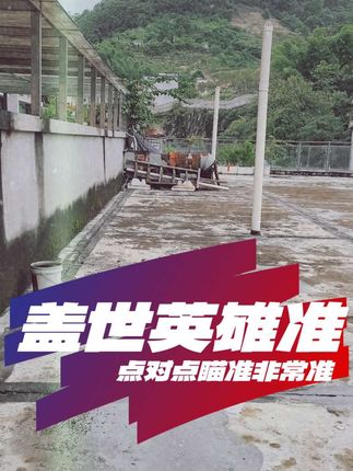 #盖世英雄弹弓 #盖世英雄新手 #弹弓爱好者 盖世英雄弹弓可以说是最适合新手的弹弓,点对点瞄,一个字就是准 #户外弹弓#弹弓教学