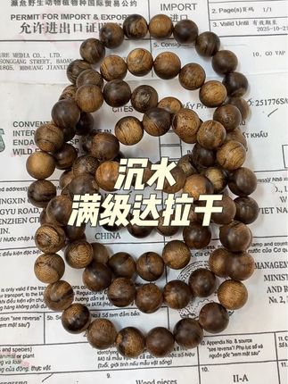 超哥开原材料…今晚停播,明天见!#满级#沉水#达拉干#沉水手串#野