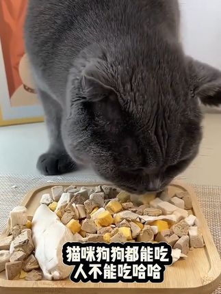 让你家毛孩子实现冻干自由大口吃肉吧,就是这个冻干多品拼,里面有鸡胸肉蛋黄等等各种猫咪喜欢吃的零食,而且都是纯肉制作的冻干,酥脆可口,磨牙解馋,还增肥发腮,趁现在有活动,赶紧给猫咪安排吧#养宠进阶指南 #猫咪零食冻干 #冻干多拼 #猫咪零食推荐 #猫咪零食