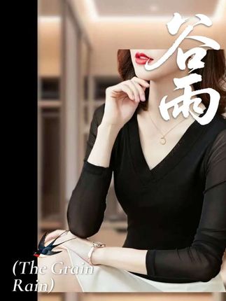 达格妮网纱打底衫内搭春秋V领洋气修身上衣女新款时尚妈妈长袖t恤#女性气质穿搭 #百搭上衣