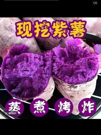 【新人·福利】湖北襄阳新鲜紫罗兰紫薯5斤装#红薯 #优质农产品 #软糯香甜 #创作者扶持计划
