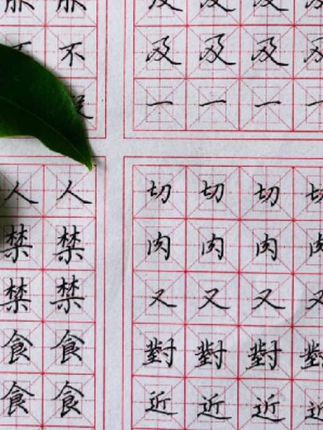 #1-8年级同步练字帖 #写好中国字做好中国人 #一边学习一边练字 #同步教材 #每天学习一点点就有收获