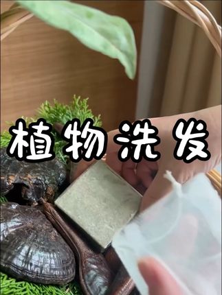 收集无患子,侧柏叶,浮萍,皂角,桑叶,墨旱莲等植物,给自己做一款吧#每日分享 #植物科普 #浮萍 #识百草 #一日一植物