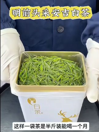 安吉白茶是浙江省湖州市安吉县特产,地理标志产品。其外形挺直略扁,形如兰蕙;色泽翠绿,白毫显露;叶芽如金镶碧鞘,内裹银箭,十分可人。冲泡后,清香高扬且持久。滋味鲜爽,饮毕,唇齿留香,回味甘而生津。叶底嫩绿明亮,芽叶朵朵可辨。#安吉白茶 #召唤茶友 #送礼佳品 #今天你喝茶了吗 #茶是春天的仪式感
