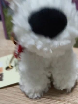#也太可爱了吧 我也玩一个#玩偶#小狗#玩具#好物分享