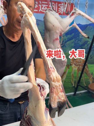 #放心肉 #鹿肉#新鲜分割鹿肉 #真材实料才能做出好味道 #正宗