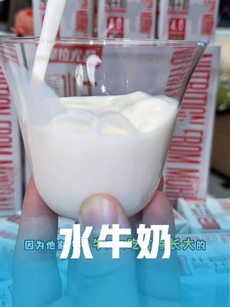 吃甘蔗的#水牛奶 怪不得自带甘甜,喝到嘴里像是吃淡奶酪一样#老人小孩都爱喝