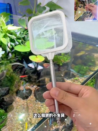 升级版3D小鱼网,可伸缩不锈钢鱼捞,不仅捞鱼更方便,轻巧绵柔,精准不伤鱼,还可以做隔离盒用,家里养鱼的赶紧安排起来吧#鱼缸里的大自然 #小鱼捞#3D鱼捞#轻松养鱼 @DOU+小助手 @巨量千川