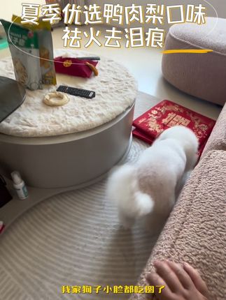 夏天专享,麦富迪舒然小金袋狗粮 #麦富迪狗粮 #新手养狗 #狗粮推荐