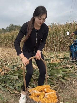 有一个能干的姐姐是一种什么体验 真的可以减少我百分之八十的人间疾苦#掰玉米 #姐妹 #秋收#农村生活 #秋天