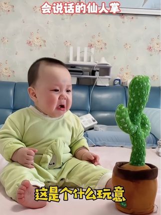 #仙人掌玩具会学说话 #陪娃日常