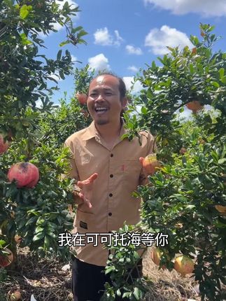 心上人我在四川大凉山等你来吃石榴#优质农产品 #新鲜采摘 #口感特别好