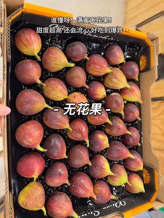 谁懂呀!满蜜无花果!甜度超高 还会流心 好吃到爆炸💥#无花果#软糯香甜 #新鲜采摘 #超好吃 #现摘现发