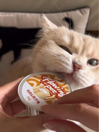 miso家的罐罐吃过就知道适口性有多好!#养猫新手 #萌宠好物 #猫罐头 #猫罐头推荐 #猫罐头测评