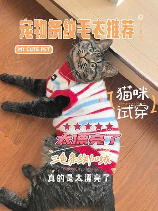 宠物服装秋冬款新品上架,红白蓝三色条纹宠物加绒毛衣,保暖又时尚。套头圆领设计,加厚加绒保暖,宽松版型设计。看美短虎斑猫穿上之后真的太漂亮了!#宠物衣服 #条纹控 #好货推荐 #宠物毛衣 #萌宠好物 @抖音电商