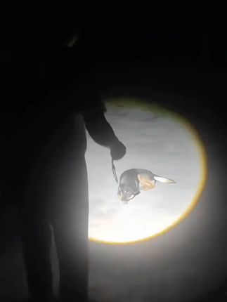天火苍龙升级版手电筒,户外家用超长续航,超亮激光手电#好物推荐🔥 #好东西一起分享