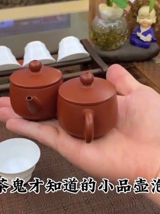 潮州小品壶 用小壶来泡茶是真的很省钱,50毫升的小汉瓦,一人一壶一杯刚刚好,小品壶,把把壶#潮州手拉壶 #潮州工夫茶 #泡茶神器 #茶器之美 #茶具好物推荐