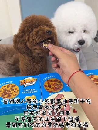 淘到一款小狗特喜欢的曲奇饼干#宠物零食 #家有馋狗 #是宠物更是家人