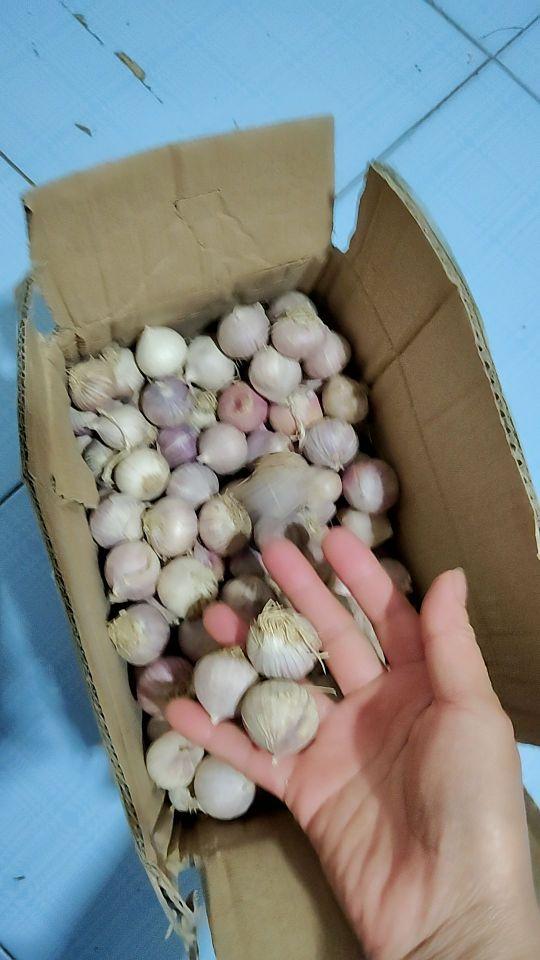 抖音上的东西真的是不能买,尤其是直播间 我要的是中果,变成了小果#我在抖音买买买