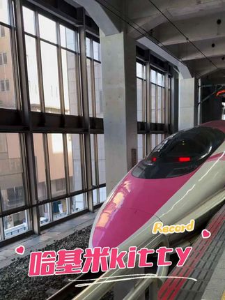 #kitty猫 #kitty #哈基米 #喵星人 #500系新干线