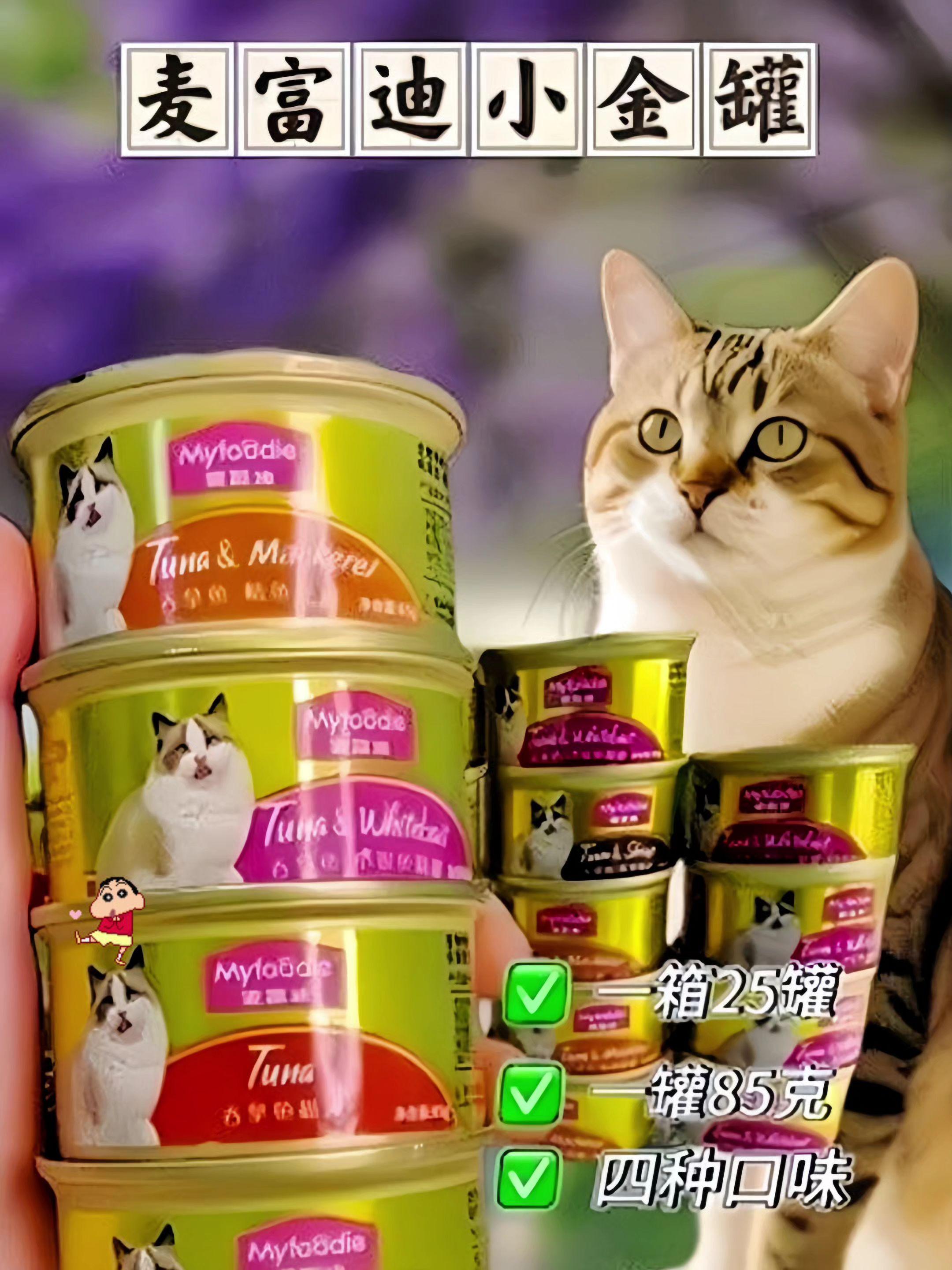 麦富迪肉罐罐,大块鲜肉看得见!浓稠汤汁裹软嫩肉块,开盖鲜香直窜,毛孩子吧唧吃得欢,营养又满足~#养猫新手 #宠物零食 #猫罐头