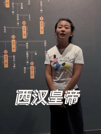 一条视频带你了解西汉11位皇帝#历史 #西汉 #皇帝