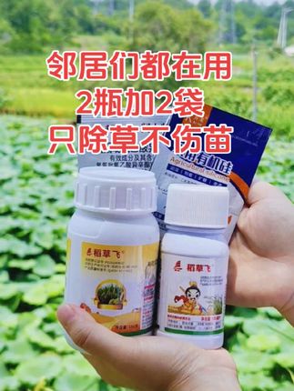 家人们,2025年全新升级版水稻苗后专用除草剂来啦。水稻 旱稻籼稻 粳稻 两瓶加两袋可打一亩地。#水稻 #水稻种植 #水稻苗后除草剂 #除草剂 #效果好
