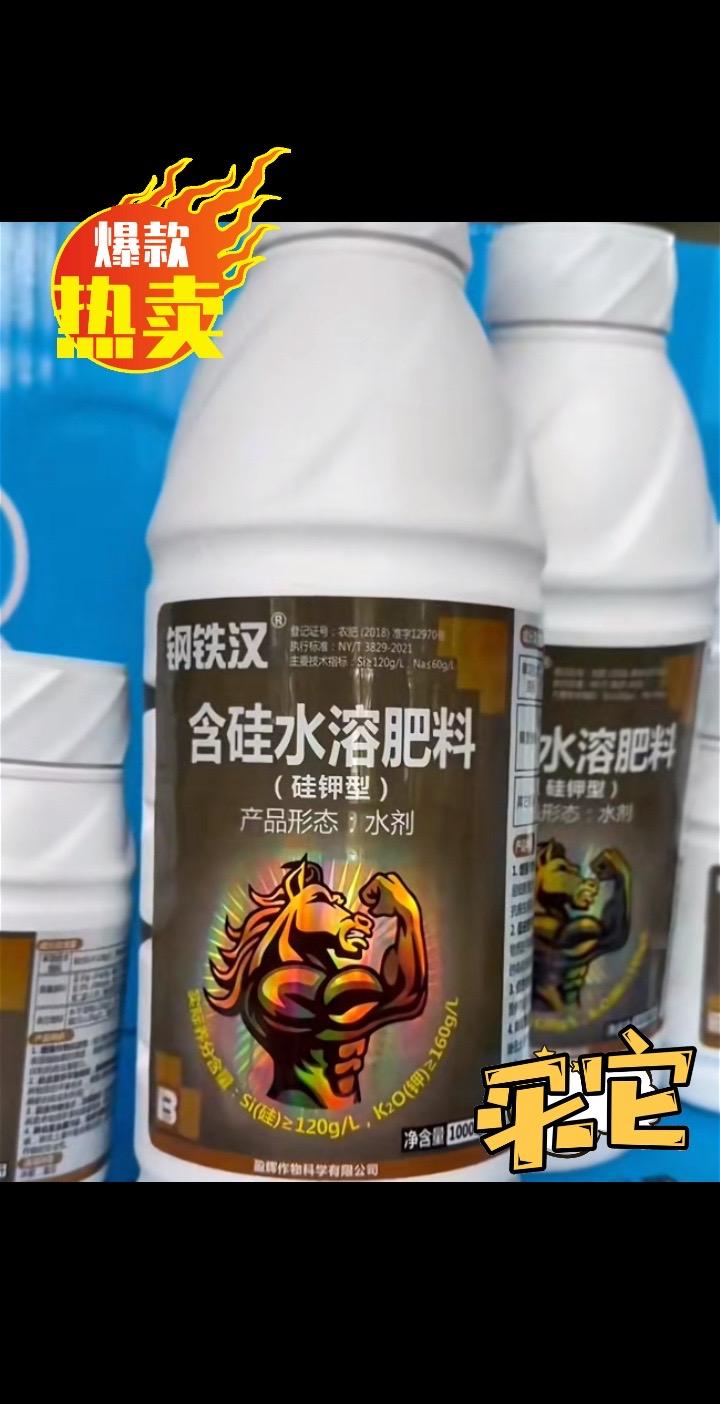 钢铁汉硅钾型液体中性硅!硅含量抗倒伏,钾元素增加干粒重!50毫升一亩地! 想高产怕倒伏的赶快用起来#水稻种植#硅肥 #硅肥的重要性 #水稻倒伏