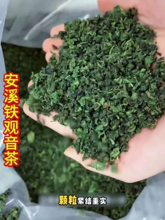 #安溪铁观音茶 #丽梅爱分享 #短视频变现话题