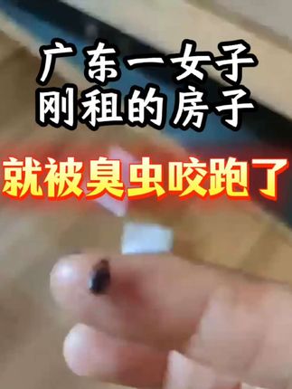 臭虫又名床虱,家里、多人宿舍、酒店被臭虫咬了该怎么解决?#臭虫 #床虱 #灭臭虫 #臭虫药床上专用