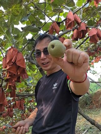 我给你们说哈这个红心猕猴桃你们千万不要去购买否则你知道的#我的乡村生活 #农村土特产#美食