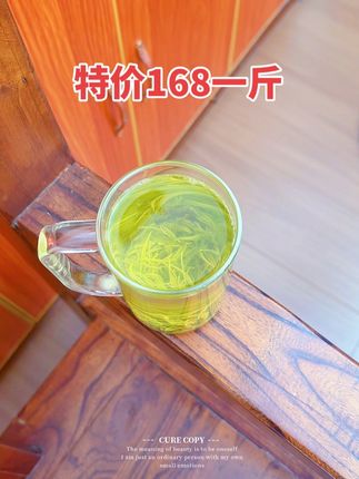 2025年明前毛尖绿茶,特价168一斤,栗香味十足,浓香耐泡,小黄车下单同款茶。