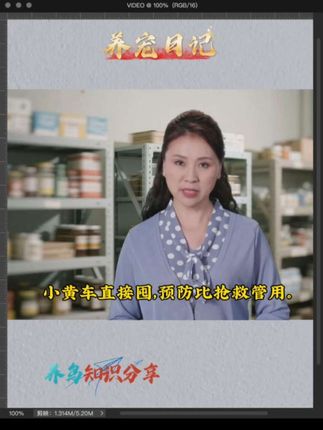 鹦鹉体内外寄生虫都有哪些表现,鹦鹉如何做体外驱虫 如何预防鹦鹉寄生虫#鹦鹉驱虫 #体外驱虫 #鹦鹉饲养知识 #养鸟经验分享 #八哥鸟