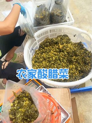 农家酸腊菜,酸酸脆脆 无添加无防腐剂#下饭菜 #地方特色美食 #酸菜 #农村美食 #真材实料才能做出好味道