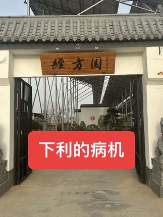 下利的病机