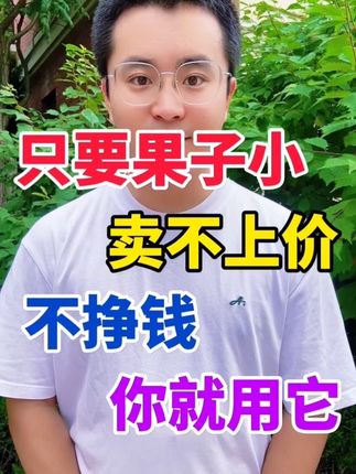 只要果子小卖不上价不挣钱你就用它#农村 #农资肥料 #瓜果蔬菜 #膨果增甜 #果树